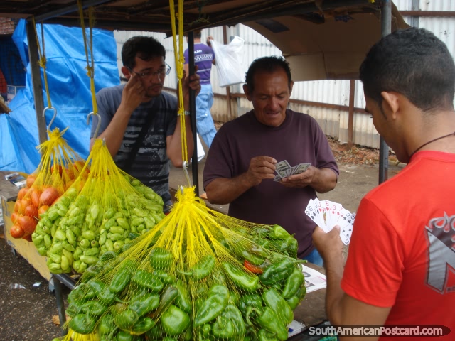 Los hombres juegan a las cartas vendiéndose chillies y tomates en Manaus. (640x480px). Brasil, Sudamerica.