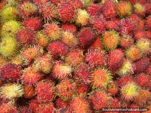 Fruta de Amazonas exótica en los mercados de Manaus. (640x480px). Brasil, Sudamerica.