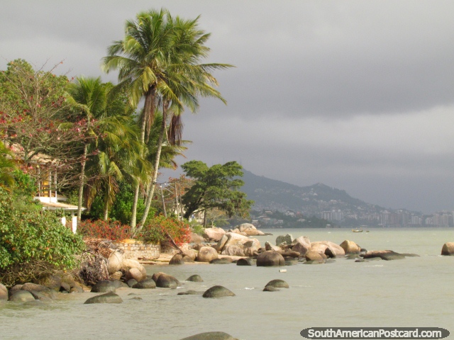 Picturesque boulders and palm trees, a nice backyard to have, Florianopolis. (640x480px). Brazil, South America.