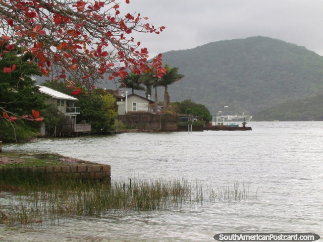 A beautiful scene, red leaves, reeds in the water, house and hills in Florianopolis. (640x480px). Brazil, South America.