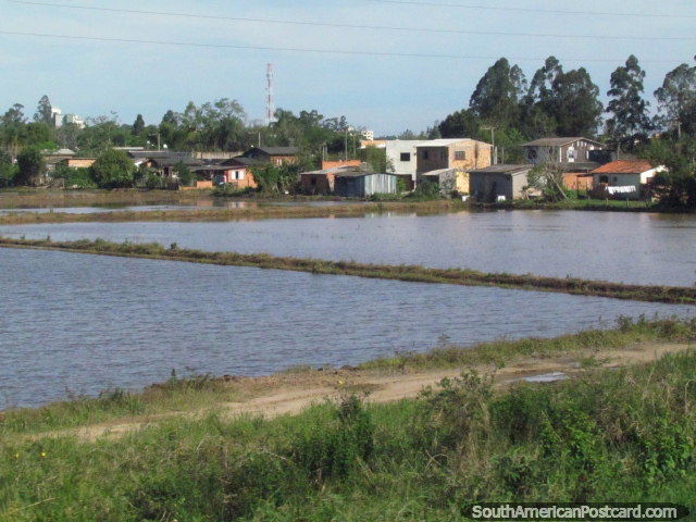 Casas e campos de arroz em volta de Ararangua, a meio caminho entre Florianopolis e Porto Alegre. (640x480px). Brasil, Amrica do Sul.