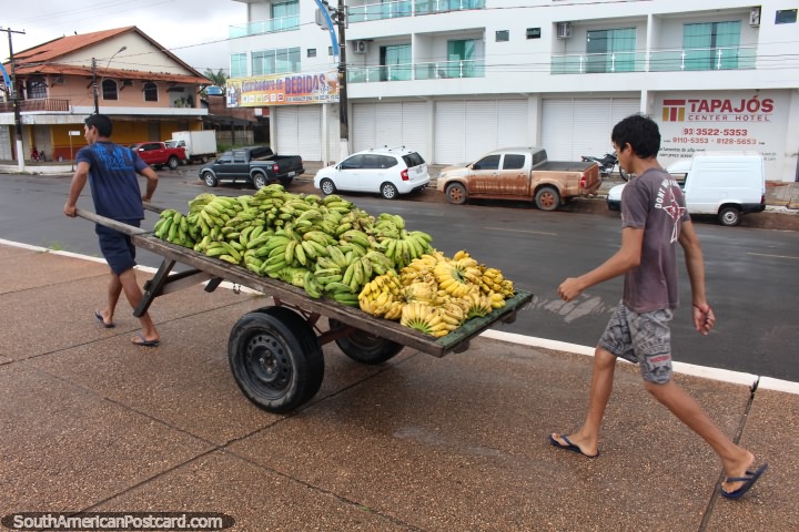 2 boys carry a cart of bananas to be loaded aboard a boat in Santarem. (720x480px). Brazil, South America.