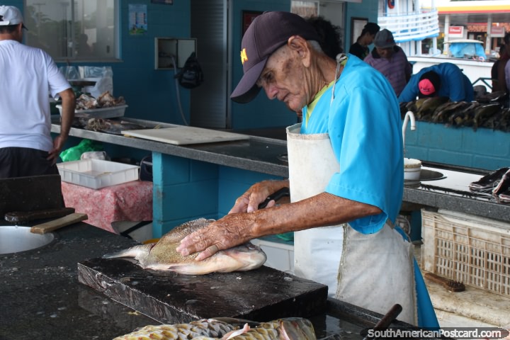 Um homem corta e corta um peixe em filetes no mercado em Santarem. (720x480px). Brasil, América do Sul.