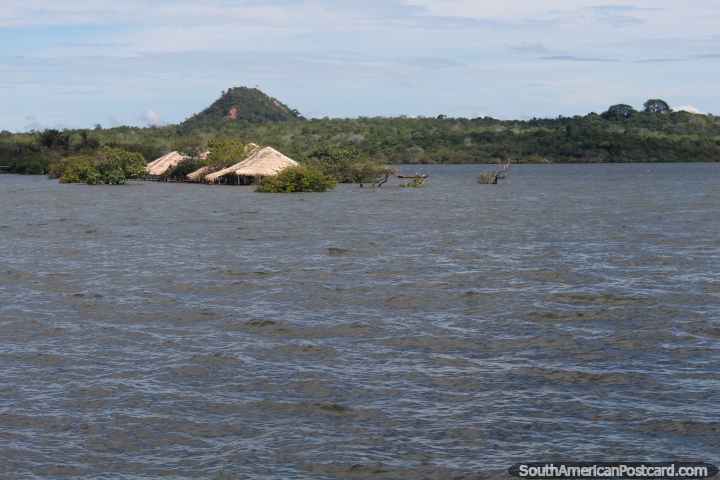 A ilha do Amor (Ilha fazem o Amor), submerso durante o maro, vem entre o agosto-dezembro para sentir que o amor, para Alter do Chao perto de Santarem. (720x480px). Brasil, Amrica do Sul.