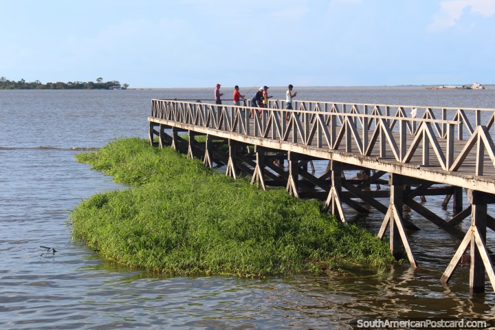 Young men fish off the wharf in Santarem in the afternoon. (720x480px). Brazil, South America.