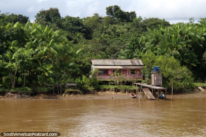 Pink house in the Amazon surrounded by green palms, north of Breves. (720x480px). Brazil, South America.