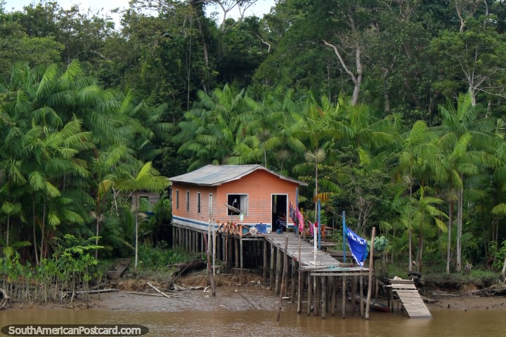 Uma casa no Amazônia com uma passarela de pedestres de madeira fora ao rio, ao norte de Breves. (720x480px). Brasil, América do Sul.
