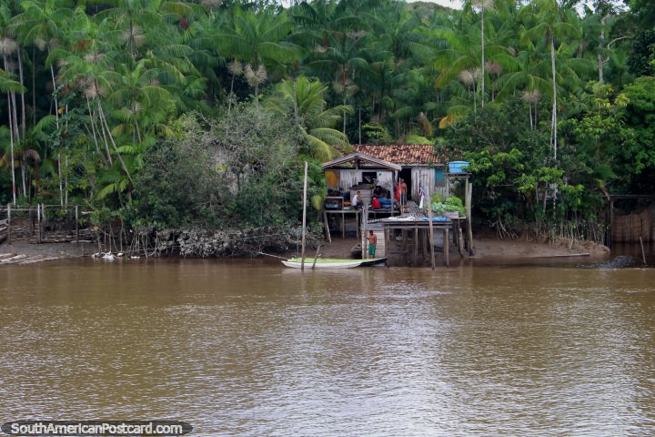Una bonita casa en el Amazonas con un bonito jardín, al norte de Breves. (720x480px). Brasil, Sudamerica.
