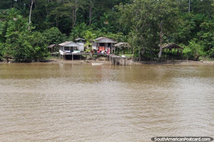 Typical houses of the Amazon, built above the ground and surrounded by jungle, north of Breves. (720x480px). Brazil, South America.