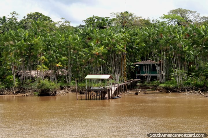 Casa e molhe no Rio Parauau, um rio do Rio de Amazônia, ao norte de Breves. (720x480px). Brasil, América do Sul.