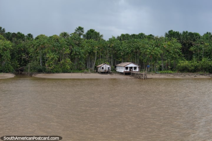 Um par de casas em uma posição de praia privada no Amazônia ao longo do Rio Parauau, ao norte de Breves. (720x480px). Brasil, América do Sul.