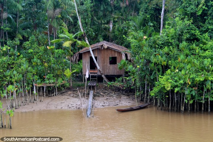 Uma pequena cabana de madeira rodeia-se do mato no Amazônia. (720x480px). Brasil, América do Sul.