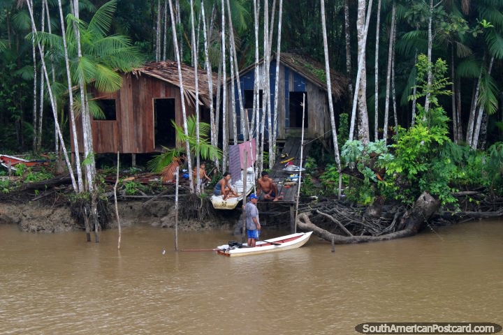 Familia fuera de su casa, muchos árboles y delgadas alrededor de ellos, la selva Amazónica. (720x480px). Brasil, Sudamerica.