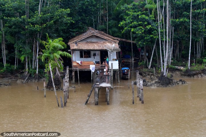 Uma casa simples no mato de Amazônia com um prato de satélite. (720x480px). Brasil, América do Sul.