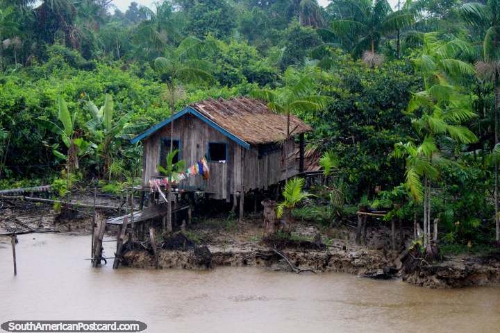 Enorme aguacero en la Amazonia, me pregunto cómo impermeable esta cabaña de madera es. (720x480px). Brasil, Sudamerica.