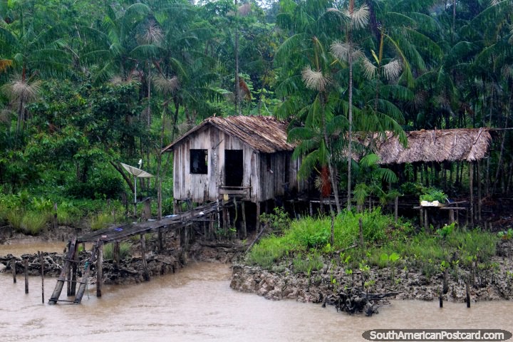 Uma cabana de madeira velha e resistida no Amazônia junto do rio, ao norte de Breves. (720x480px). Brasil, América do Sul.