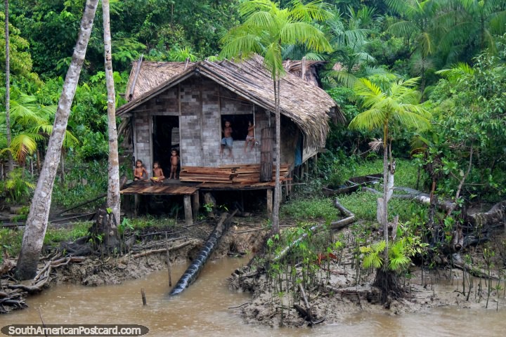5 crianças jovens olham a chuva baixar da sua cabana de madeira no mato de Amazônia. (720x480px). Brasil, América do Sul.