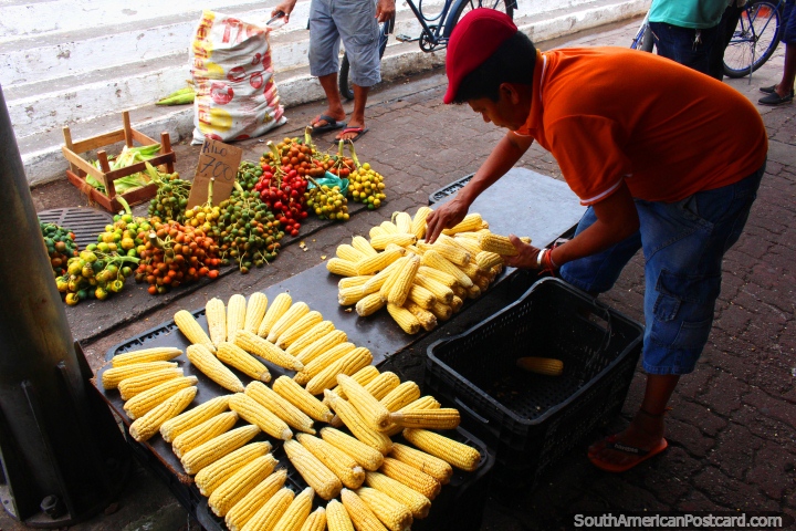 A man lays out freshly cut corn cobs to sell at Ver-o-Peso Market in Belem. (720x480px). Brazil, South America.