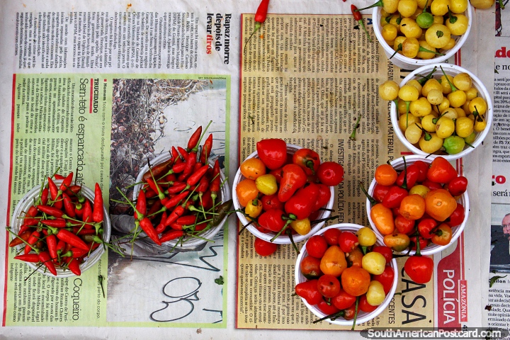 Pouco chillies vermelho, cor-de-laranja e amarelo de venda em Mercado Ver-o-Peso em Belm. (720x480px). Brasil, Amrica do Sul.