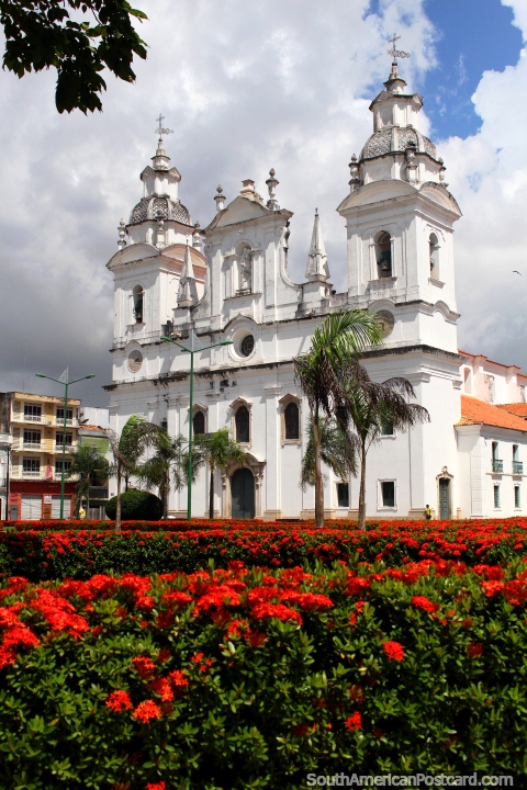 The cathedral is one of the great sights in Belem as well as the red flowery plaza beside it. (480x720px). Brazil, South America.