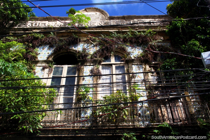 A very overgrown and derelict facade, very interesting, Belem. (720x480px). Brazil, South America.