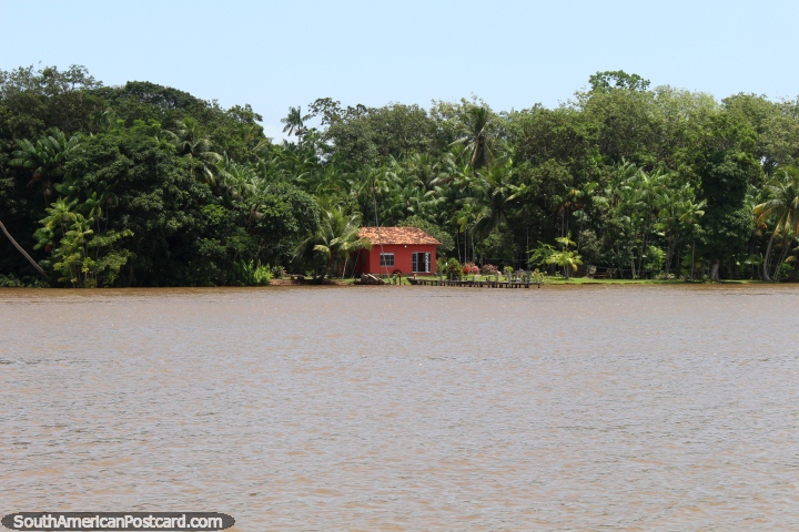 Pequena casa atraente com um telhado coberto com telhas e gramados no Amazônia ao oeste de Belém, não são todos algo como isto. (720x480px). Brasil, América do Sul.