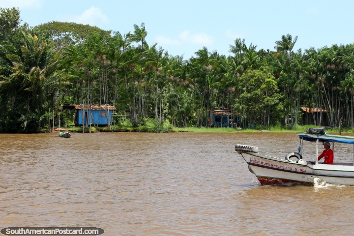 El hombre conduce su barco de pasajeros más allá de una pequeña casa azul, al este de Barcarena. (720x480px). Brasil, Sudamerica.