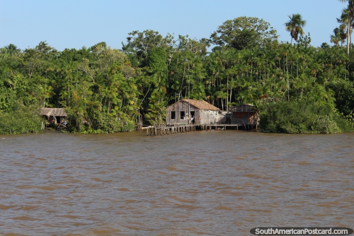 Nice wooden shack houses riverside in the Amazon, west of Belem. (720x480px). Brazil, South America.