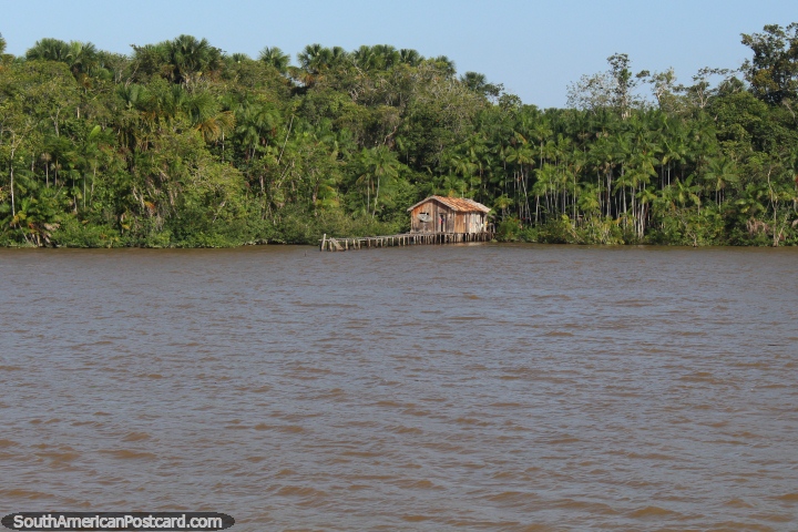 Wooden house with a jetty and a satellite dish in the Amazon beside the river, west of Belem. (720x480px). Brazil, South America.