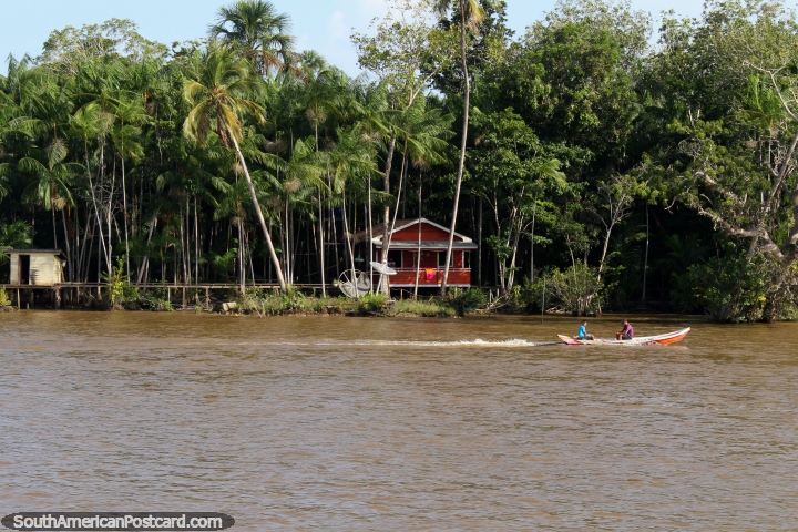 Pequeña casa roja con un par de antenas parabólicas, canoa viaja pasado, el Amazonas, al oeste de Belem. (720x480px). Brasil, Sudamerica.