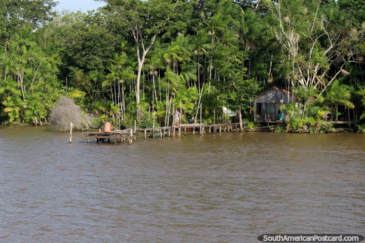 Wooden house with an old wooden jetty in the jungle beside the river in the Amazon, west of Belem. (720x480px). Brazil, South America.