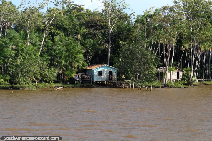 O rapaz olha da sua entrada como as viagens de barco para alm da sua casa de Amaznia, ao oeste de Belm. (720x480px). Brasil, Amrica do Sul.