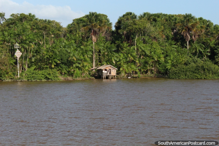 Las casas son empequeñecidas por la selva y el río en el Amazonas, al oeste de Belem. (720x480px). Brasil, Sudamerica.