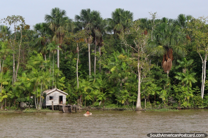 Boy in a canoe outside his small wooden house in the Amazon, south of Macapa. (720x480px). Brazil, South America.