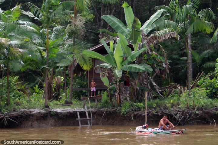 A man and his son outside their small wooden hut in the Amazon, south of Macapa. (720x480px). Brazil, South America.