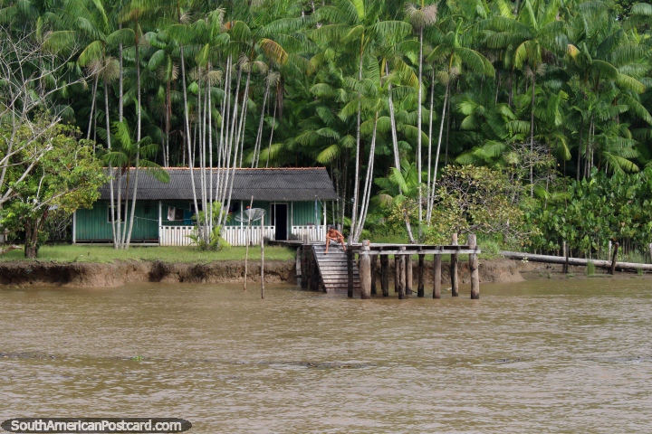 Pequena casa bonita e propriedade no Amazônia, conclua com um molhe, ao sul de Macapa. (720x480px). Brasil, América do Sul.