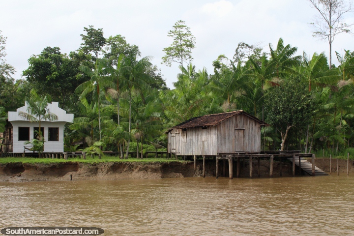 As casas e as palmeiras são de que vê muito no Amazônia, ao sul de Macapa. (720x480px). Brasil, América do Sul.