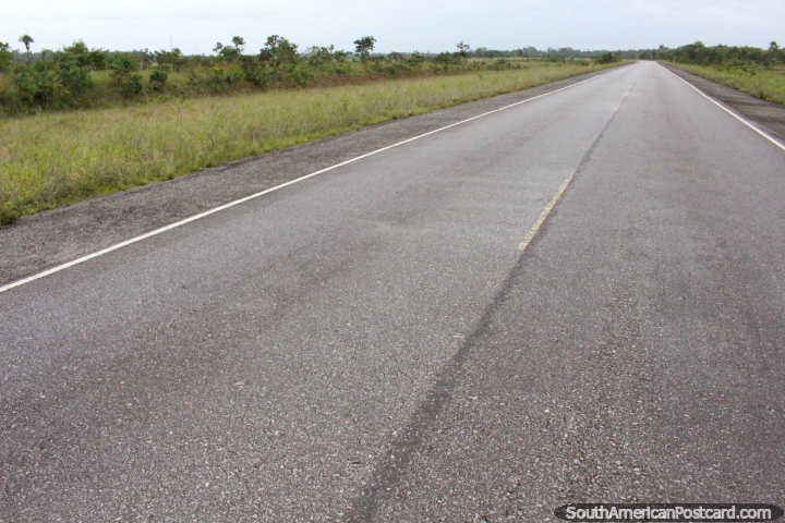 La carretera al norte de Macapá está en buenas condiciones en este punto en el viaje a Oiapoque. (720x480px). Brasil, Sudamerica.