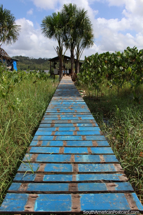 Calçada de tábuas acima de água fora a borda do Rio Oyapock de uma casa em Oiapoque. (480x720px). Brasil, América do Sul.