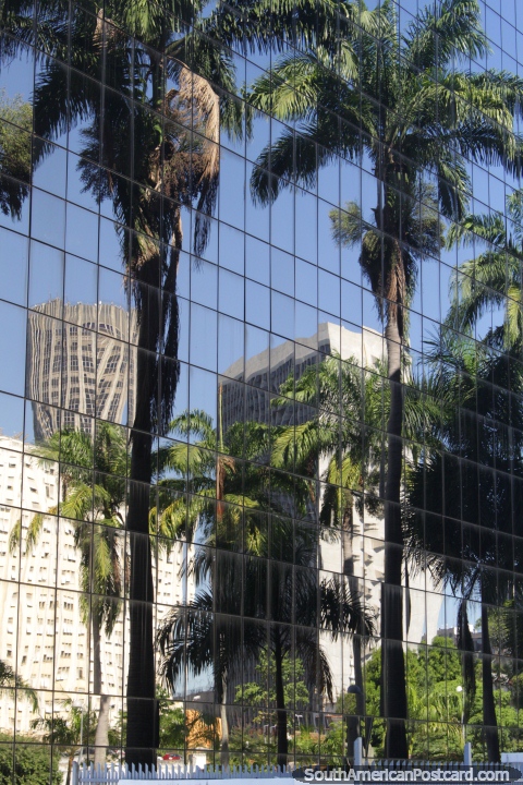 Palmeras reflejan en las ventanas de espejo de un edificio moderno en Ro de Janeiro. (480x720px). Brasil, Sudamerica.