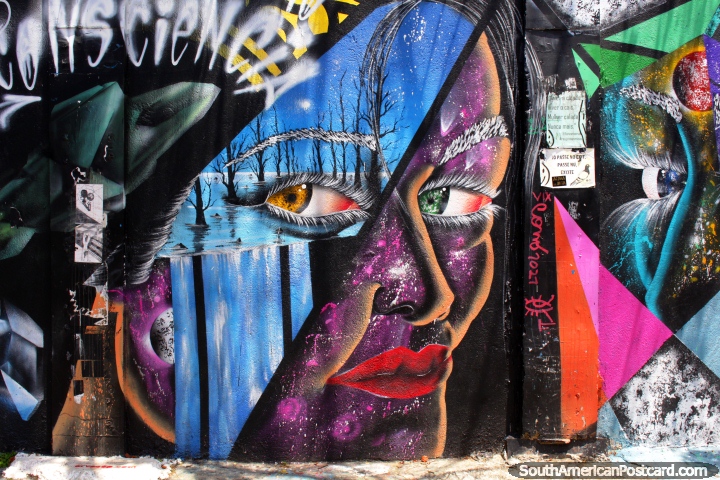 Mural fantástico em púrpura e azul, senhora com o piercing de olhos, Beco fazem o Bagageiro, São Paulo. (720x480px). Brasil, América do Sul.