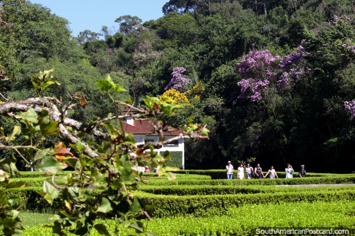 I recommend taking a walk at the botanical gardens in Sao Paulo to escape the concrete jungle! (720x480px). Brazil, South America.