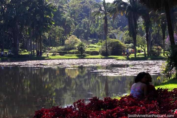 Os Jardins botnicos de So Paulo so um belo lugar de relaxar nas Amricas do sul a cidade mais grande! (720x480px). Brasil, Amrica do Sul.