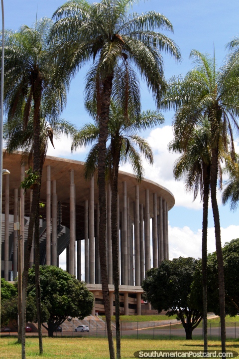 Estdio nacional em Braslia, altas palmeiras no primeiro plano. (480x720px). Brasil, Amrica do Sul.
