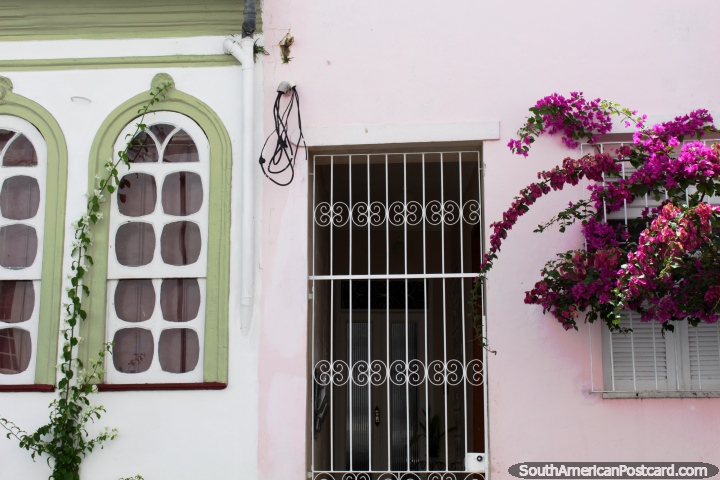 Ventanas de arco y flores moradas, fachada de casa en Salvador. (720x480px). Brasil, Sudamerica.