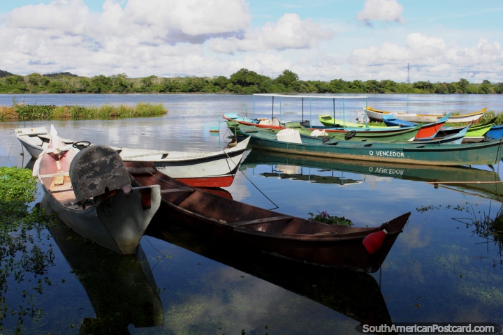 River canoes moored in Penedo on the Sao Francisco River, calm waters. (720x480px). Brazil, South America.