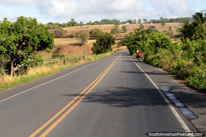 The road between Coruripe and Maceio on the northern coast. (720x480px). Brazil, South America.