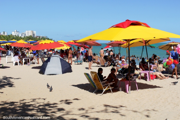 Gente disfrutando de sus sombrillas en las arenas de Playa Pajucara en Maceio. (720x480px). Brasil, Sudamerica.