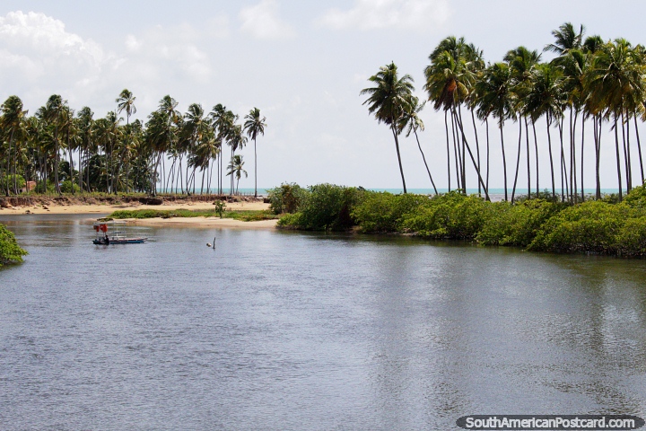 A nice area of water and palms beside the sea in Japaratinga, between Maceio and Maragogi. (720x480px). Brazil, South America.