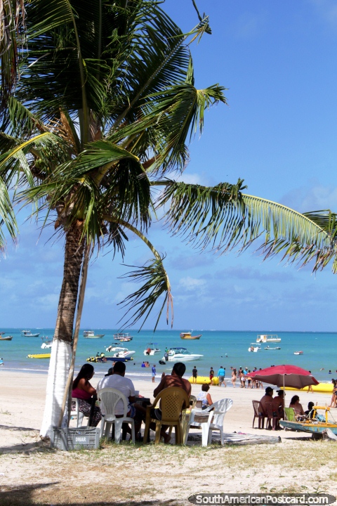 People enjoying the day sitting under a palm tree at Maragogi beach on the north coast. (480x720px). Brazil, South America.
